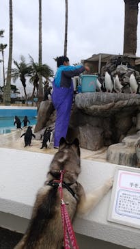 京急油壺マリンパークに投稿された画像（2020/1/28）