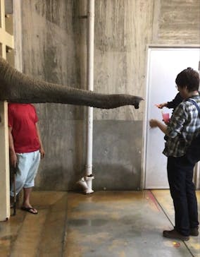 沖縄こどもの国に投稿された画像（2020/1/29）