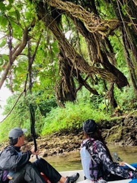 沖縄海うさぎ・海あしびに投稿された画像（2020/1/29）