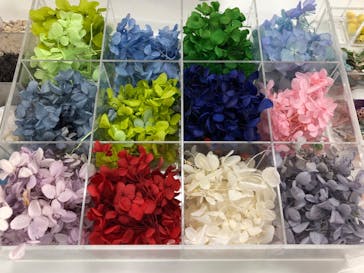 ずこうしつ〜sugamo〜に投稿された画像（2020/1/30）