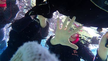 ダイビングショップ Sea Free（シーフリー）に投稿された画像（2020/2/1）