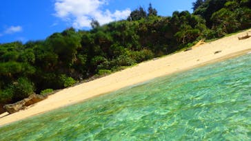 ダイビングショップ Sea Free（シーフリー）に投稿された画像（2020/2/1）