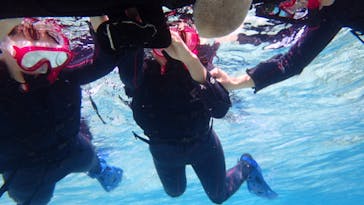 ダイビングショップ Sea Free（シーフリー）に投稿された画像（2020/2/1）