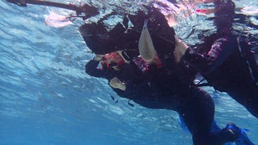 ダイビングショップ Sea Free（シーフリー）に投稿された画像（2020/2/1）