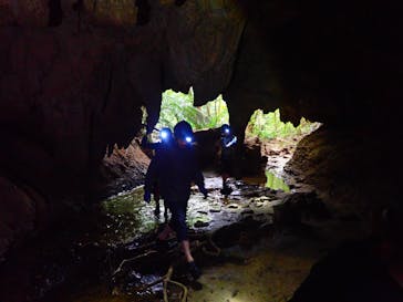 西表島 ADVENTURE PiPi（アドベンチャーピピ）に投稿された画像（2020/2/1）