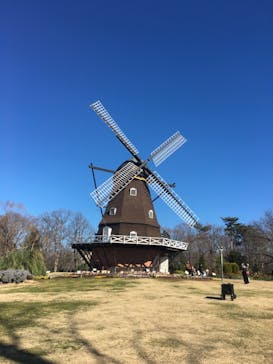 ふなばしアンデルセン公園に投稿された画像（2020/2/2）