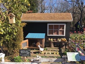 ふなばしアンデルセン公園に投稿された画像（2020/2/2）