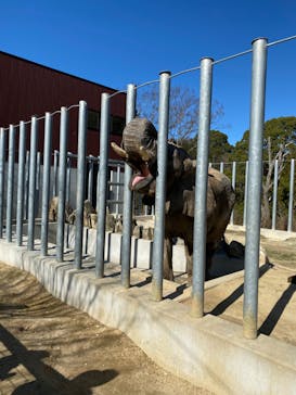 しろとり動物園に投稿された画像（2020/2/2）