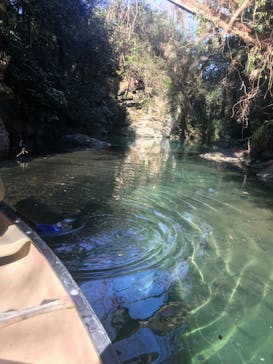 カヌーリゾートたまよどに投稿された画像（2020/2/2）