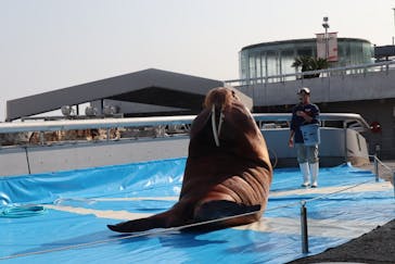 大分マリーンパレス水族館 「うみたまご」に投稿された画像（2020/2/3）