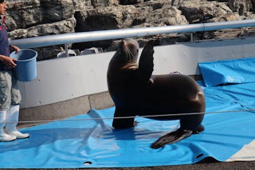 大分マリーンパレス水族館 「うみたまご」に投稿された画像（2020/2/3）