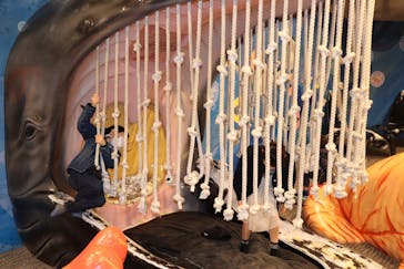 大分マリーンパレス水族館 「うみたまご」に投稿された画像（2020/2/3）