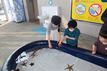 大分マリーンパレス水族館 「うみたまご」に投稿された画像（2020/2/3）