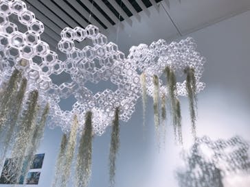 森美術館に投稿された画像（2020/2/3）