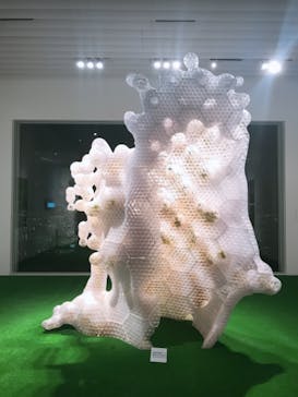 森美術館に投稿された画像（2020/2/3）