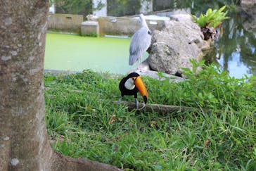 ネオパークオキナワに投稿された画像（2020/2/3）