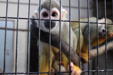 ネオパークオキナワに投稿された画像（2020/2/3）