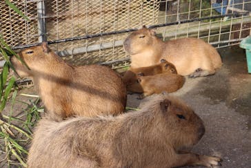 ネオパークオキナワに投稿された画像（2020/2/3）