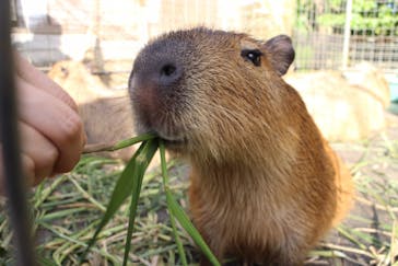 ネオパークオキナワに投稿された画像（2020/2/3）