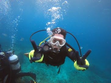 ダイブロックに投稿された画像（2020/2/4）