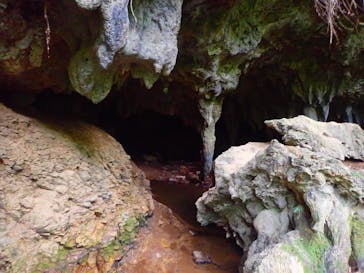 西表島 ADVENTURE PiPi（アドベンチャーピピ）に投稿された画像（2020/2/4）