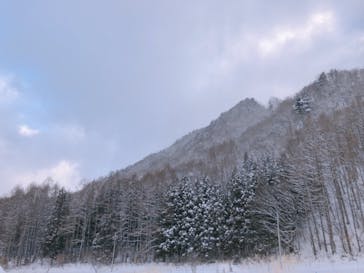 水上高原 藤原スキー場に投稿された画像（2020/2/4）