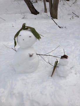 水上高原 藤原スキー場に投稿された画像（2020/2/4）