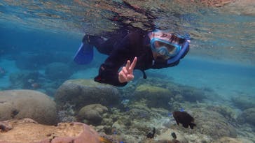 ダイビングショップ Sea Free（シーフリー）に投稿された画像（2020/2/5）