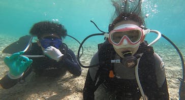 青の洞窟専門店　沖縄ダイビングショップ和に投稿された画像（2020/2/5）