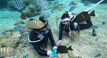 青の洞窟専門店　沖縄ダイビングショップ和に投稿された画像（2020/2/5）