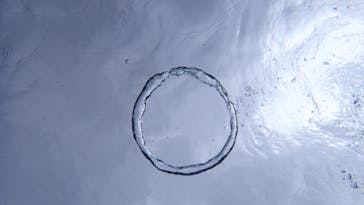 ダイビングショップ Sea Free（シーフリー）に投稿された画像（2020/2/5）