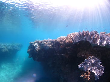 ドロップイン 沖縄に投稿された画像（2020/2/5）