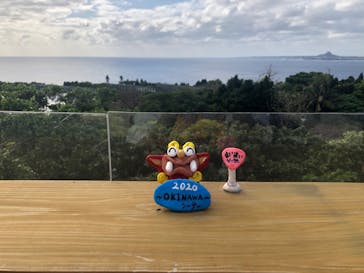 可愛いシーサー専門店 まいまいシーサーに投稿された画像（2020/2/6）