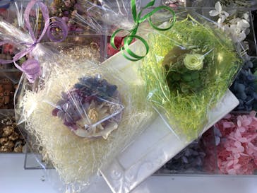 ずこうしつ〜sugamo〜に投稿された画像（2020/2/7）