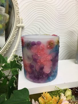 ずこうしつ〜sugamo〜に投稿された画像（2020/2/7）