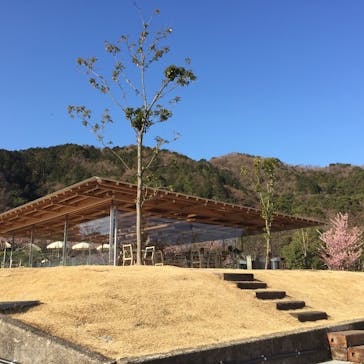 ACAO FORESTに投稿された画像（2020/2/7）