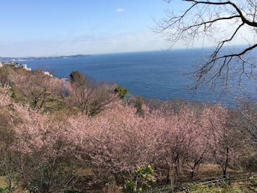 ACAO FORESTに投稿された画像（2020/2/7）