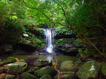 西表島 ADVENTURE PiPi（アドベンチャーピピ）に投稿された画像（2020/2/7）