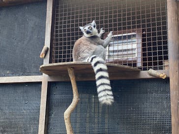 神戸どうぶつ王国に投稿された画像（2020/2/8）