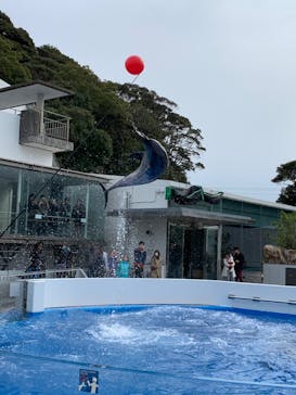 九十九島水族館海きららに投稿された画像（2020/2/8）