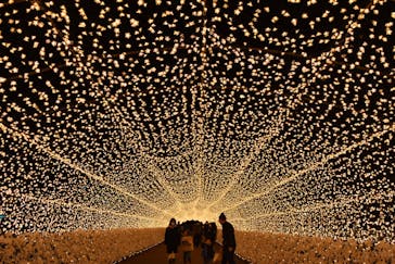 東京メガイルミに投稿された画像（2020/2/9）