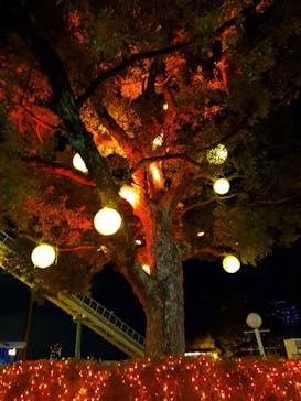 ひらかたパークに投稿された画像（2020/2/9）