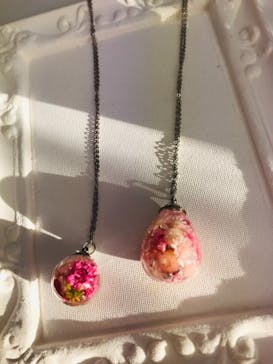 ずこうしつ〜sugamo〜に投稿された画像（2020/2/9）