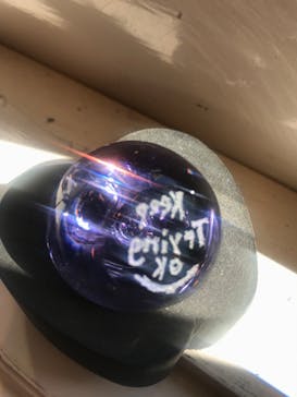 大分マリーンパレス水族館 「うみたまご」に投稿された画像（2020/2/9）