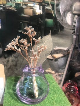 大分マリーンパレス水族館 「うみたまご」に投稿された画像（2020/2/9）