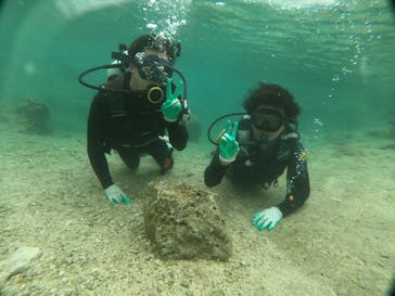 青の洞窟専門店　沖縄ダイビングショップ和に投稿された画像（2020/2/10）