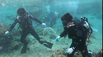 青の洞窟専門店　沖縄ダイビングショップ和に投稿された画像（2020/2/10）