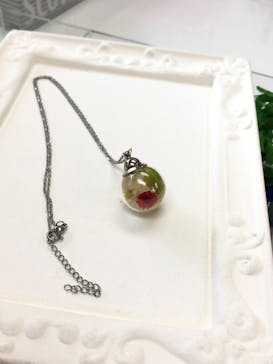 ずこうしつ〜sugamo〜に投稿された画像（2020/2/10）