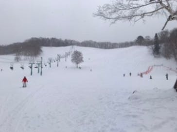 水上高原 藤原スキー場に投稿された画像（2020/2/10）