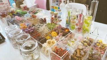 ずこうしつ〜sugamo〜に投稿された画像（2020/2/10）